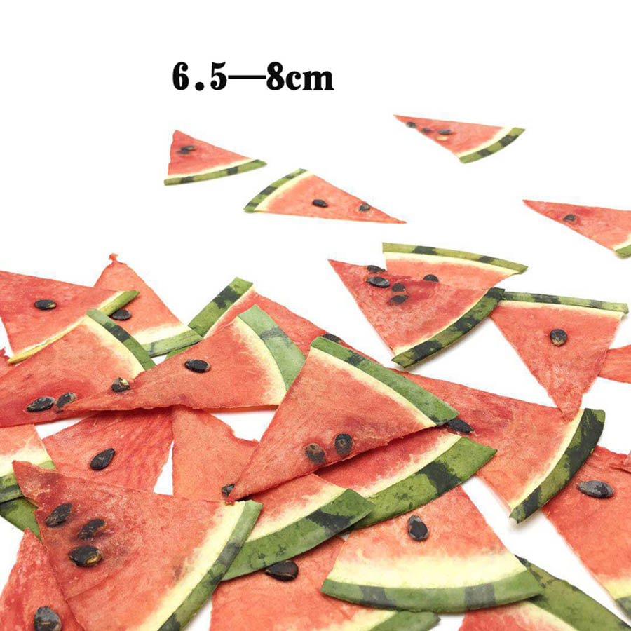 5pcs Dried Pressed Exopy Fruit - Jewelry Making For Birthday Party 리뷰 및 가격