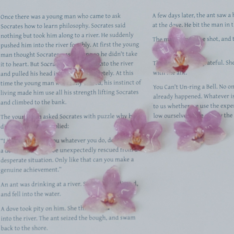 DIY Jewelry Natural Pink Resin - Jewelry Making For Birthday Party 리뷰 및 가격