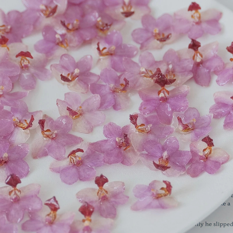 DIY Jewelry Natural Pink Resin - Jewelry Making For Birthday Party 리뷰 및 가격