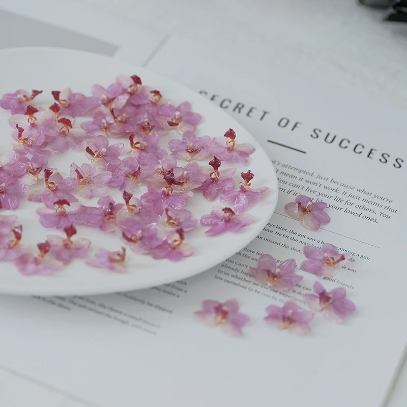 DIY Jewelry Natural Pink Resin - Jewelry Making For Birthday Party 리뷰 및 가격